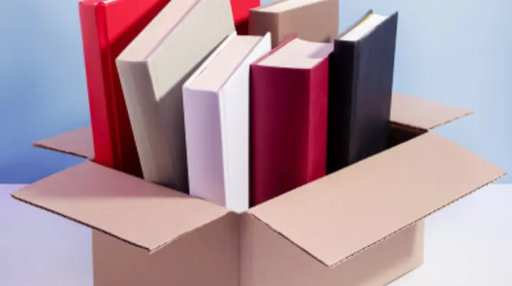 Bücher in einem Karton | © canva
